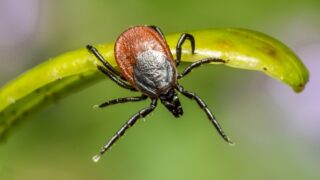 Ilustrační snímek