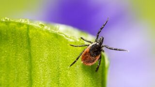 Ilustrační snímek