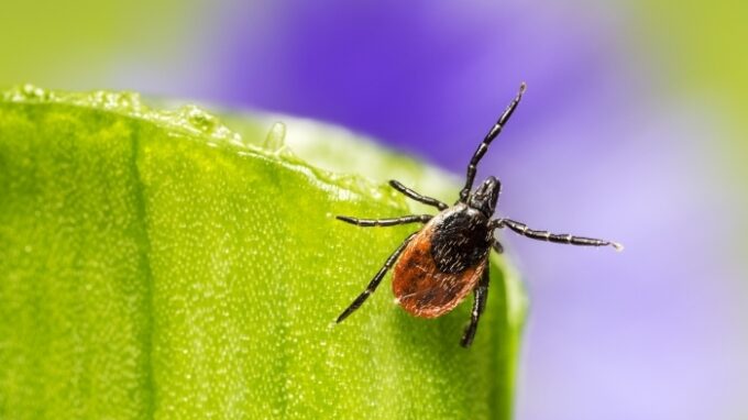 Ilustrační snímek