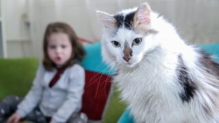 Ilustrační snímek