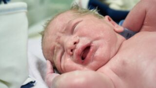 Ilustrační snímek