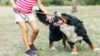 Napadení - Ilustrační snímek