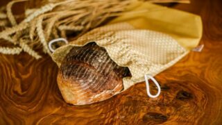 Ilustrační snímek