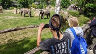 Ilustrační snímek - Zoo Praha