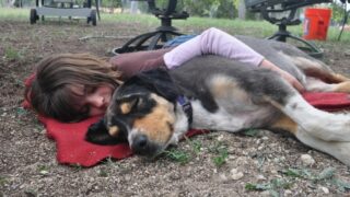 Ilustrační snímek