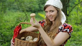 Houbařka - Ilustrační foto