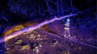 Hasiči odstraňovali popadané stromy.