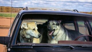 Ilustrační snímek