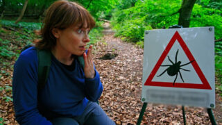 Klíšťata - Ilustrační snímek