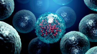 Ilustrační snímek