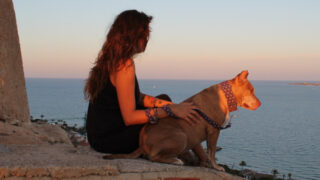 Pes - ilustrační snímek