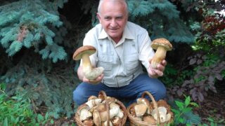 Houbař - ilustrační foto