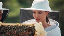 Americká herečka Angelina Jolie zachraňuje včely