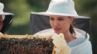 Americká herečka Angelina Jolie zachraňuje včely
