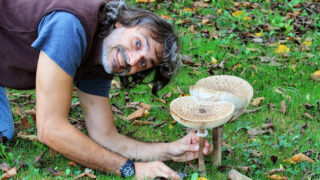 Houbař - Ilustrační snímek