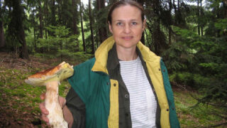 Houbařka - Ilustrační snímek