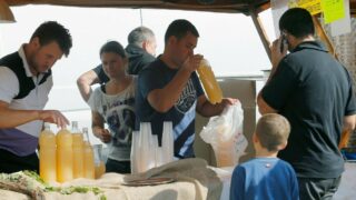 Vinobraní / burčák - Ilustrační snímek