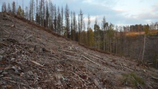 Ilustrační snímek