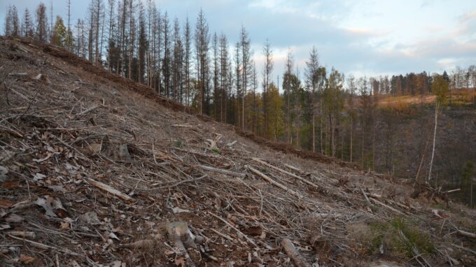 Ilustrační snímek