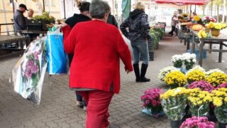 Dušičky - Ilustrační snímek