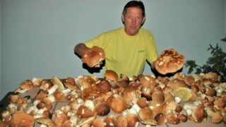 Ilustrační snímek