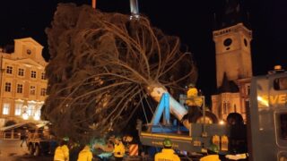 Vztyčování vánočního stromu na Staroměstském náměstí