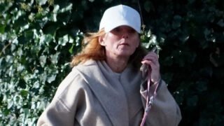 Zpěvačka Geri Hornerová