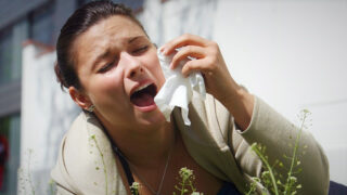 Alergie, žlutý pyl - Ilustrační snímek