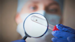 Klíště, počasí - Ilustrační snímek