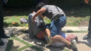 Jason Alexander (na snímku dole)