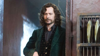 Gary Oldman jako Sirius Black