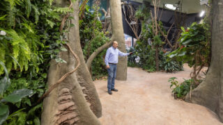 Ilustrační snímek