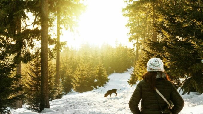 Ilustrační snímek