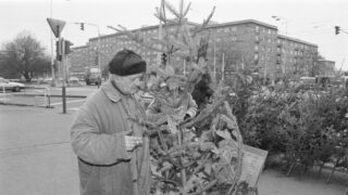 Ilustrační snímek