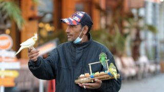 Ilustrační snímek