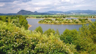 Poušť nebo zahrada