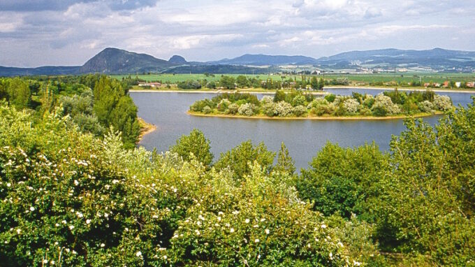 Poušť nebo zahrada