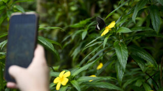Ósaka chce být první „bezhotovostní“ výstavou v historii