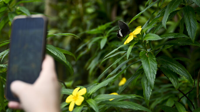 Ósaka chce být první „bezhotovostní“ výstavou v historii