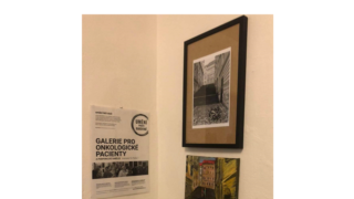 Zachraňme Galerii pro onkologické pacienty
