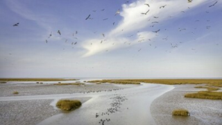 CGTN: Kulturní fórum Yellow River se zaměřuje na kolébku čínské civilizace