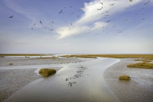 CGTN: Kulturní fórum Yellow River se zaměřuje na kolébku čínské civilizace