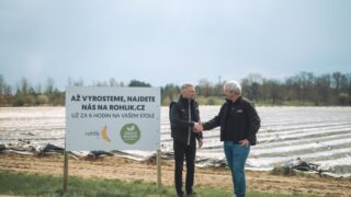 Na Rohlik.cz začala chřestová sezona. E-shop nabízí český chřest jako první prodejce na trhu za stejnou cenu jako loni