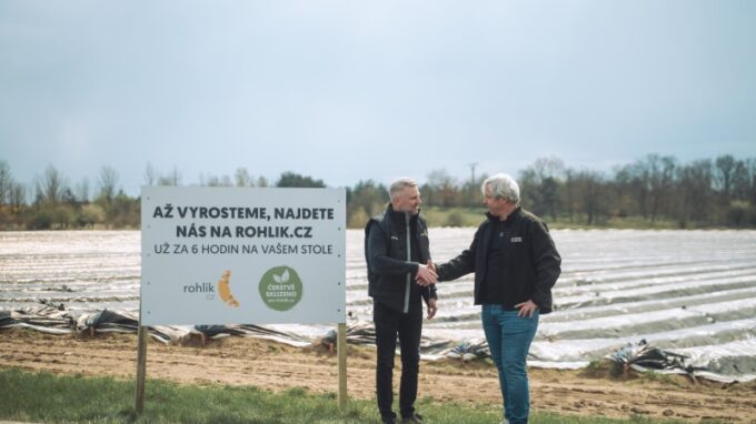 Na Rohlik.cz začala chřestová sezona. E-shop nabízí český chřest jako první prodejce na trhu za stejnou cenu jako loni