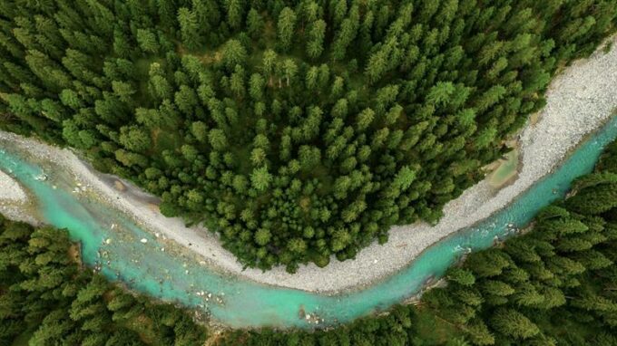 L’Oréal oznámil tři nové příjemce z fondu L’Oréal pro obnovu přírody