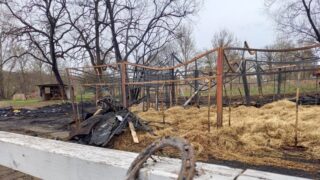 Přišli o koně i celou stáj rukou žháře, přesto nechtějí rušit letní koňské tábory