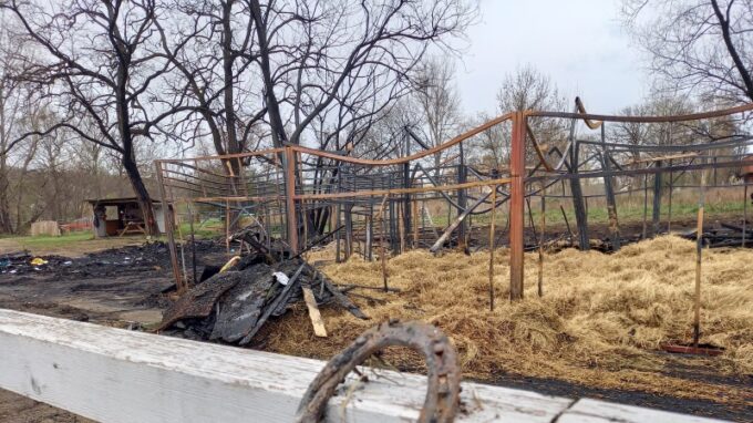 Přišli o koně i celou stáj rukou žháře, přesto nechtějí rušit letní koňské tábory