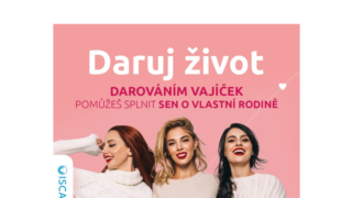 Motivace dárkyň vajíček? Vedle finanční odměny především dobrý pocit