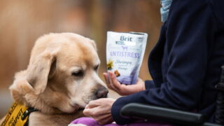 VAFO pomáhá: přispívá na obnovu Baltského moře a ročně daruje více než 100 tun krmiva