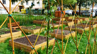 Participativní rozpočet Náš obvod zahajuje čtvrtý ročník: Navrhněte vhodnou lokalitu v obvodu Moravská Ostrava a Přívoz!